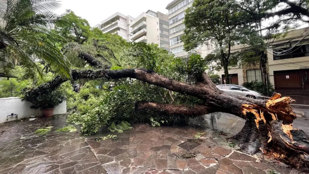 Meteorologista Luiz Nachtigall: prepare-se para uma segunda com vendavais