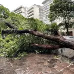 Meteorologista Luiz Nachtigall: prepare-se para uma segunda com vendavais