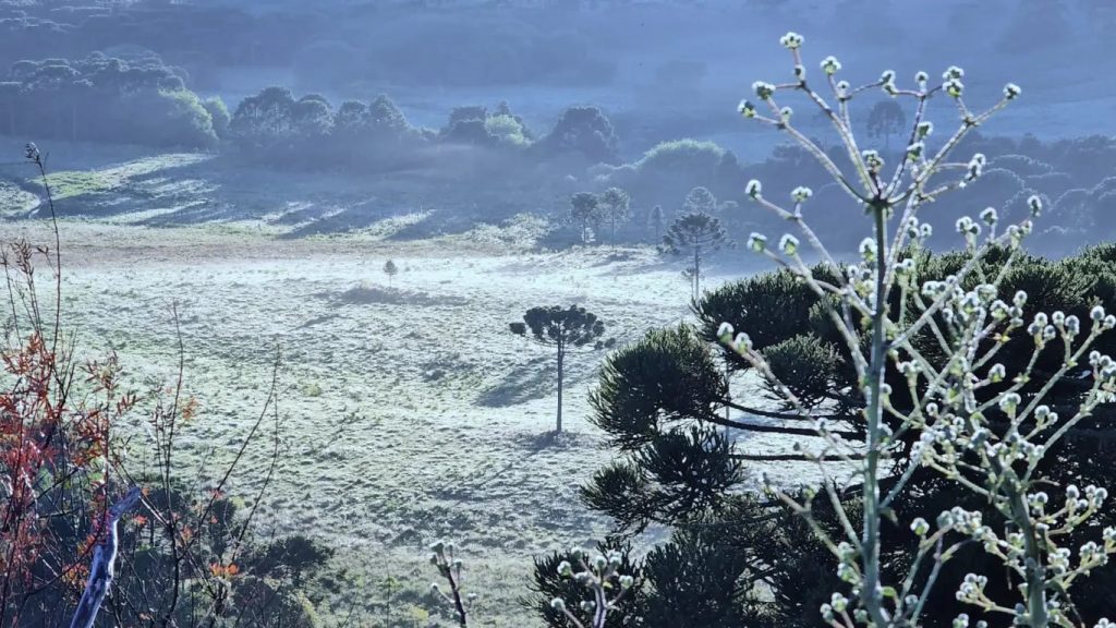 Sul do Brasil vai ter frio e geada a uma semana do Natal