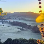 Frio de 1ºC em SC e 3ºC no RS provoca geada a poucos dias do Natal