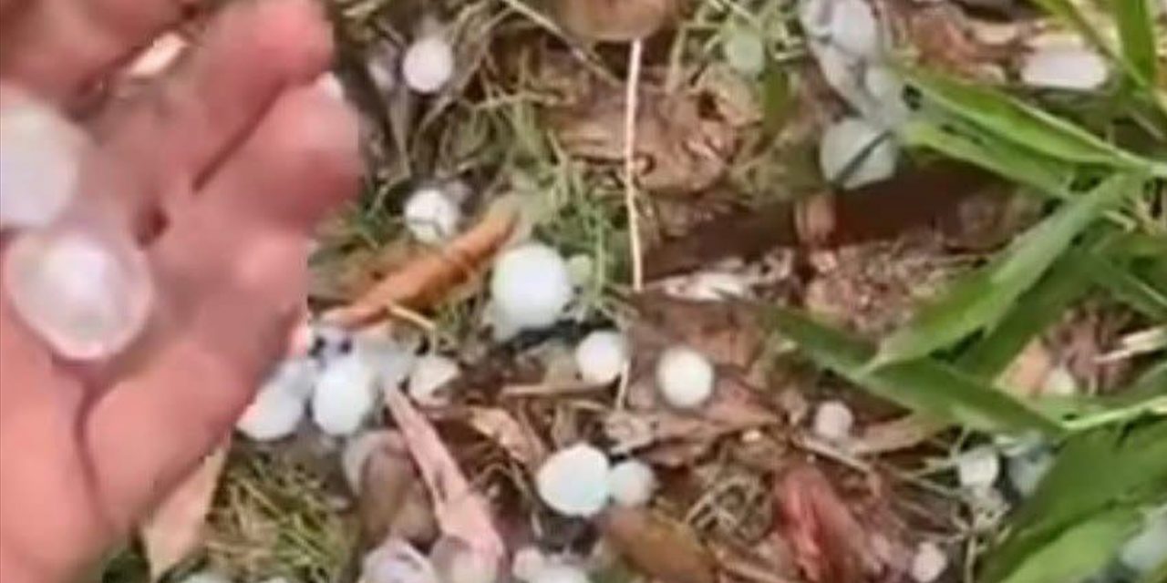 <span class="entry-title-primary">Granizo atinge o extremo Sul de Porto Alegre; entenda o que ocorreu</span> <h2 class="entry-subtitle">Temporal rápido com queda de granizo atingiu no meio da tarde desta terça-feira áreas do extremo Sul da cidade </h2>