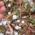 Granizo atinge o extremo Sul de Porto Alegre; entenda o que ocorreu