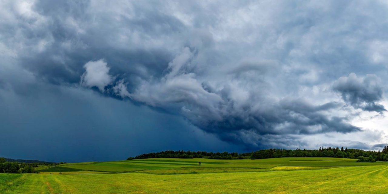 <span class="entry-title-primary">Agricultura: o que esperar de chuva no campo nesta primeira metade do mês</span> <h2 class="entry-subtitle">Veja a tendência de chuva para esta primeira quinzena de dezenbro e quais áreas devem ter excesso de precipitação </h2>
