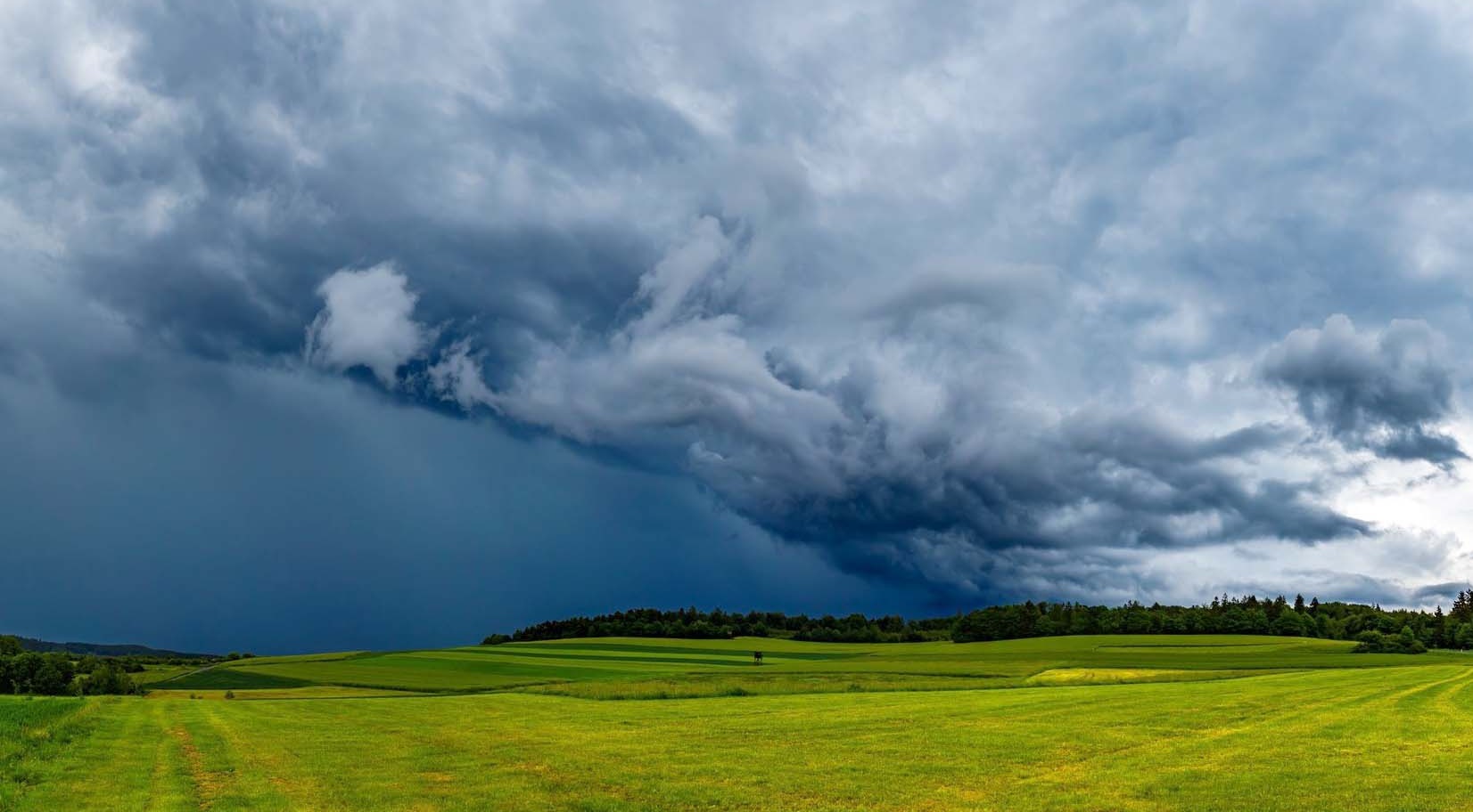 Chuva no campo