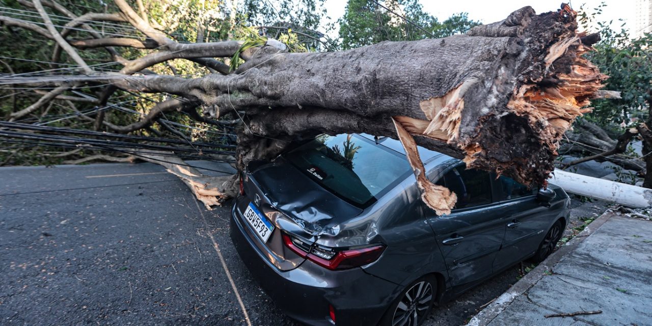 <span class="entry-title-primary">Cinco estados tiveram vento acima de 100 km/h; veja quais e as rajadas</span> <h2 class="entry-subtitle">Cinco estados do Sul e do Sudeste do Brasil enfrentaram hoje rajadas acima de 100 km/h devido ao ciclone na costa gaúcha </h2>