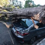 Cinco estados tiveram vento acima de 100 km/h; veja quais e as rajadas