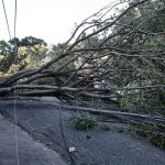 Alerta: São Paulo ainda deve ter vento forte nesta quinta-feira