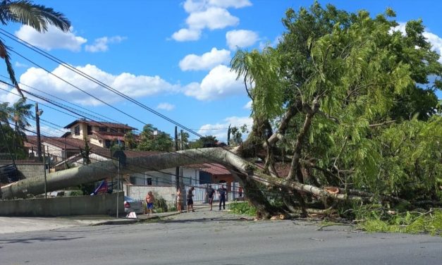 Vento chega a 131 km/h e deixa milhões sem luz no Sul e no Sudeste