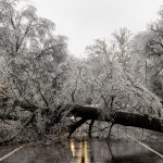 Severe Winter Storm Brings Crippling Ice and Snow to Over 150 Million Americans