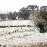 Cidade brasileira conhecida pelo frio e a neve registra temperatura incomum no verão
