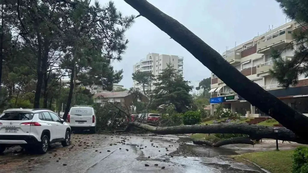 Ciclone provoca estragos no Uruguai; veja o que ocorreu e ainda vai acontecer
