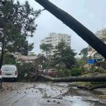 Ciclone provoca estragos no Uruguai; veja o que ocorreu e ainda vai acontecer