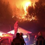 Graves incêndios florestais na Patagônia mobilizam a Argentina