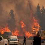 Grave situação na Patagônia por incêndios florestais sob vento intenso