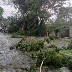 Temporais causam estragos na Grande Porto Alegre e no interior gaúcho