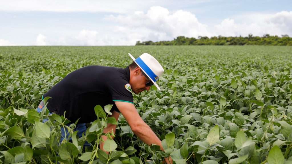 Meteorologista Estael Sias: excelentes notícias para a agricultura
