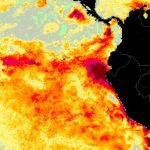 El Niño Costeiro começa na costa da América do Sul e já impacta o clima