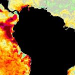 El Niño Costeiro se intensifica na costa do Oeste da América do Sul