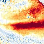 NOAA: probabilidade de El Niño no Oceano Pacífico disparara e passa de 80%