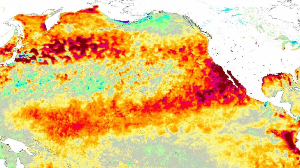 Onda de calor marinha extraordinária acende outro alerta do El Niño