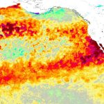 Onda de calor marinha extraordinária acende outro alerta do El Niño