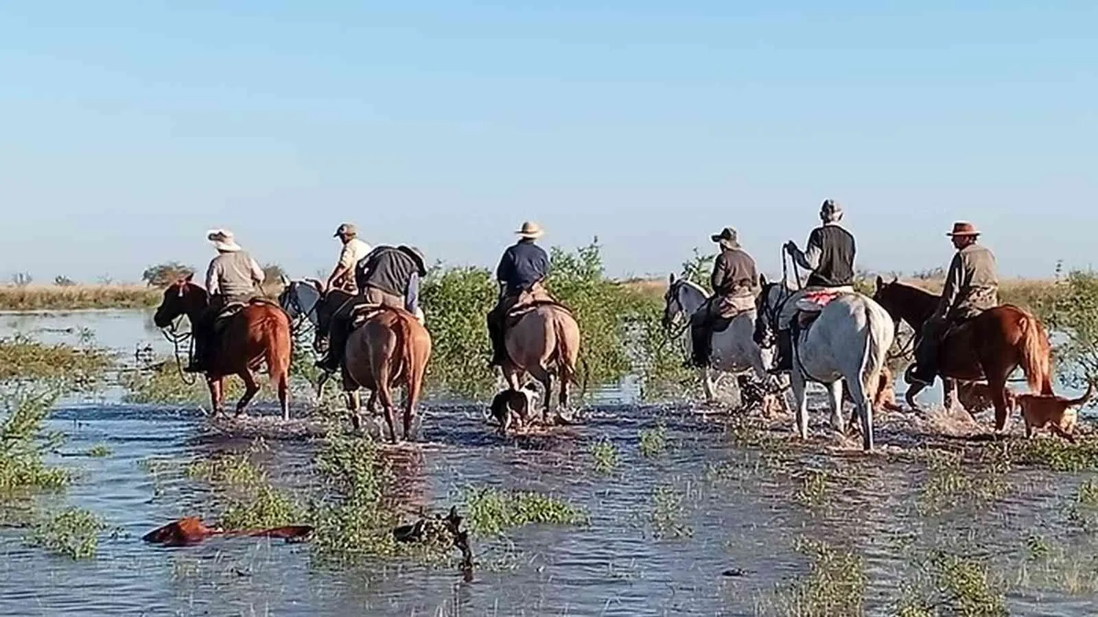 Chuva provoca enchente na província argentina de Santa Fé