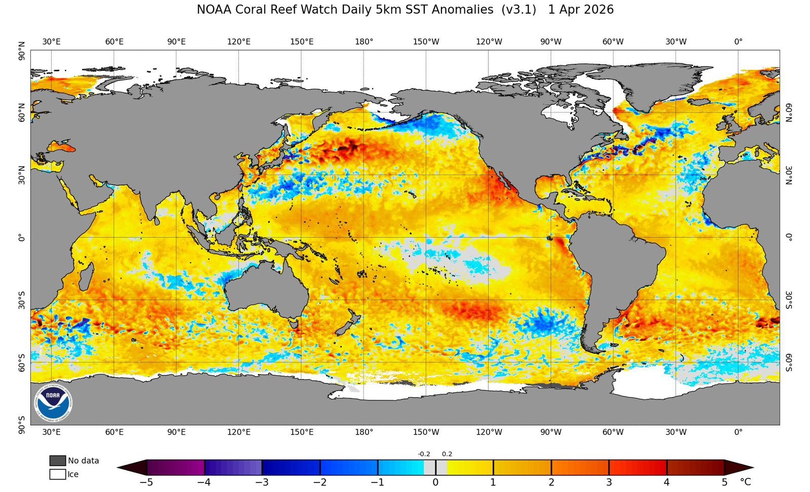 Mapa de anomalia de temperatura da superfície do mar em 1/4/2026 mostra oceanos muito mais quentes que em 1997