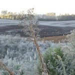 Rio Grande do Sul registra segundo dia com frio abaixo de zero