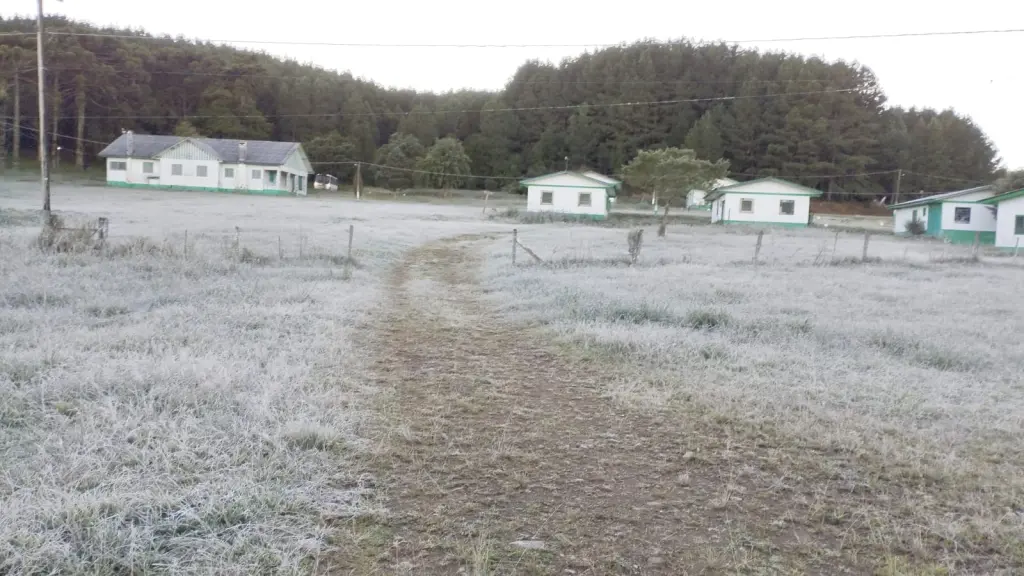 Rio Grande do Sul tem terceiro dia seguido de frio abaixo de zero