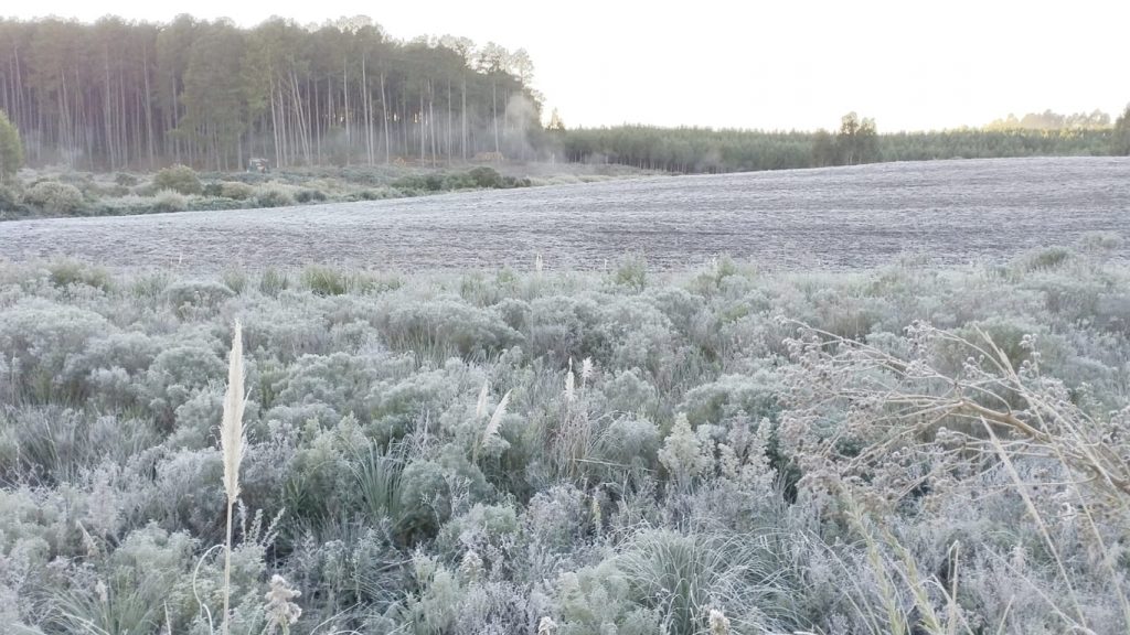 Rio Grande do Sul registra primeiras temperaturas abaixo de zero de 2026