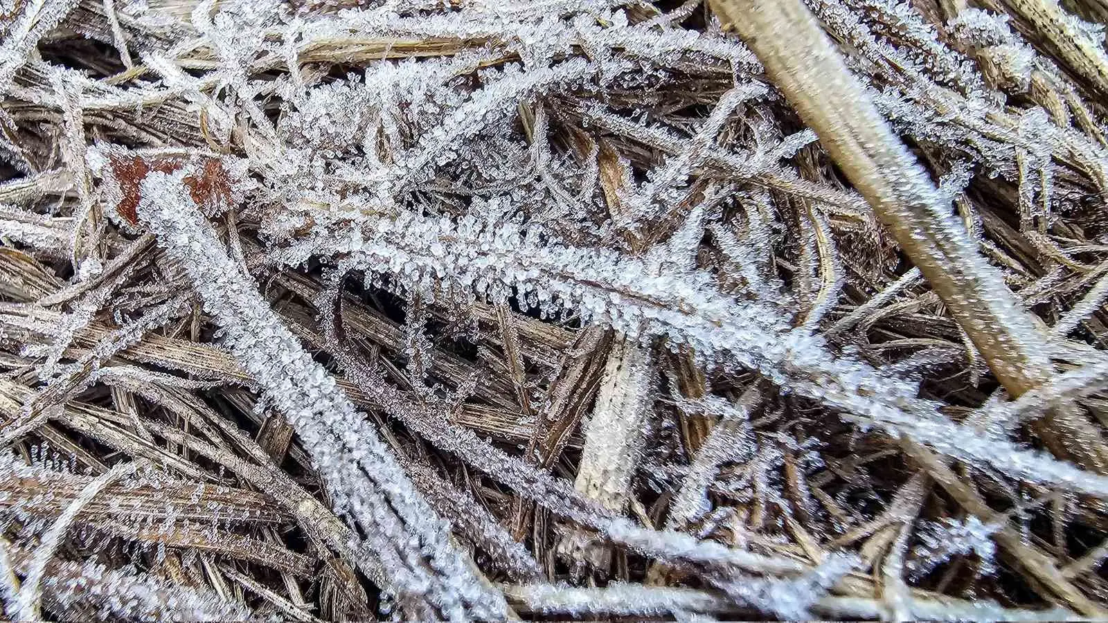Geada hoje cedo pelo frio em Sobradinho |