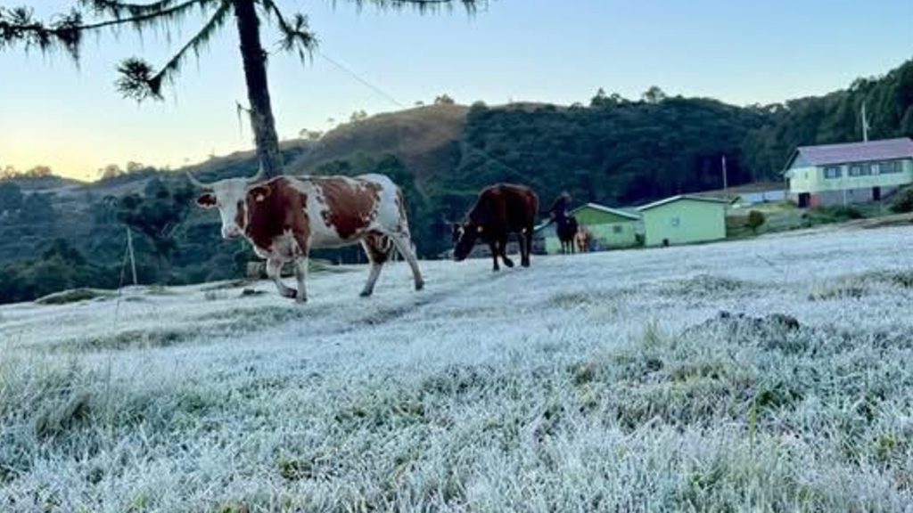 Reforço de ar polar e nuvens vão trazer frio o dia todo nesta quinta-feira