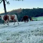 Reforço de ar polar e nuvens vão trazer frio o dia todo nesta quinta-feira