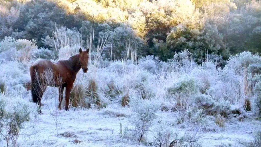 Onda de frio começa com temperatura abaixo de zero