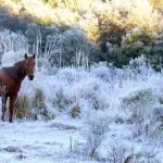 Onda de frio começa com temperatura abaixo de zero