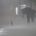 Alerta: fim de semana com risco de chuva forte em São Paulo