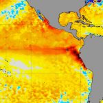 Pacífico entra em modo de El Niño e aquecimento ganhará força