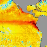 El Niño ganha força e anúncio da NOAA é iminente