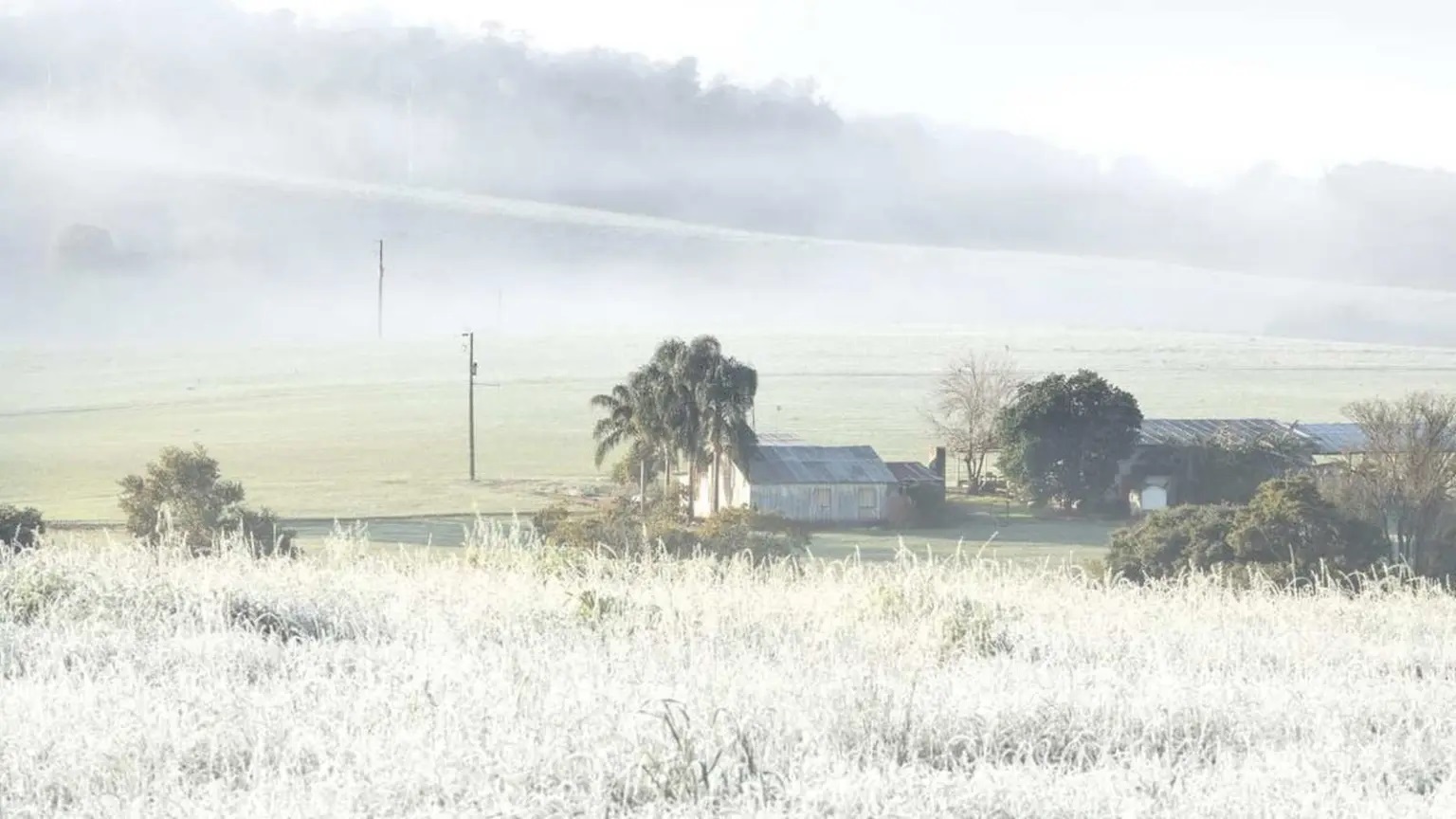Foto mostra campo coberto de geada em amanhecer sob massa de ar frio