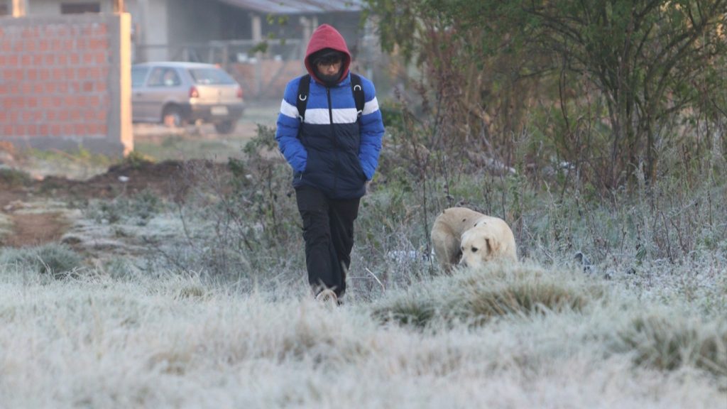 Semana gelada começa com frio de quase 5ºC abaixo de zero