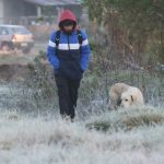 Semana gelada começa com frio de quase 5ºC abaixo de zero