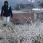 Rio Grande do Sul gela com frio de 6ºC abaixo de zero