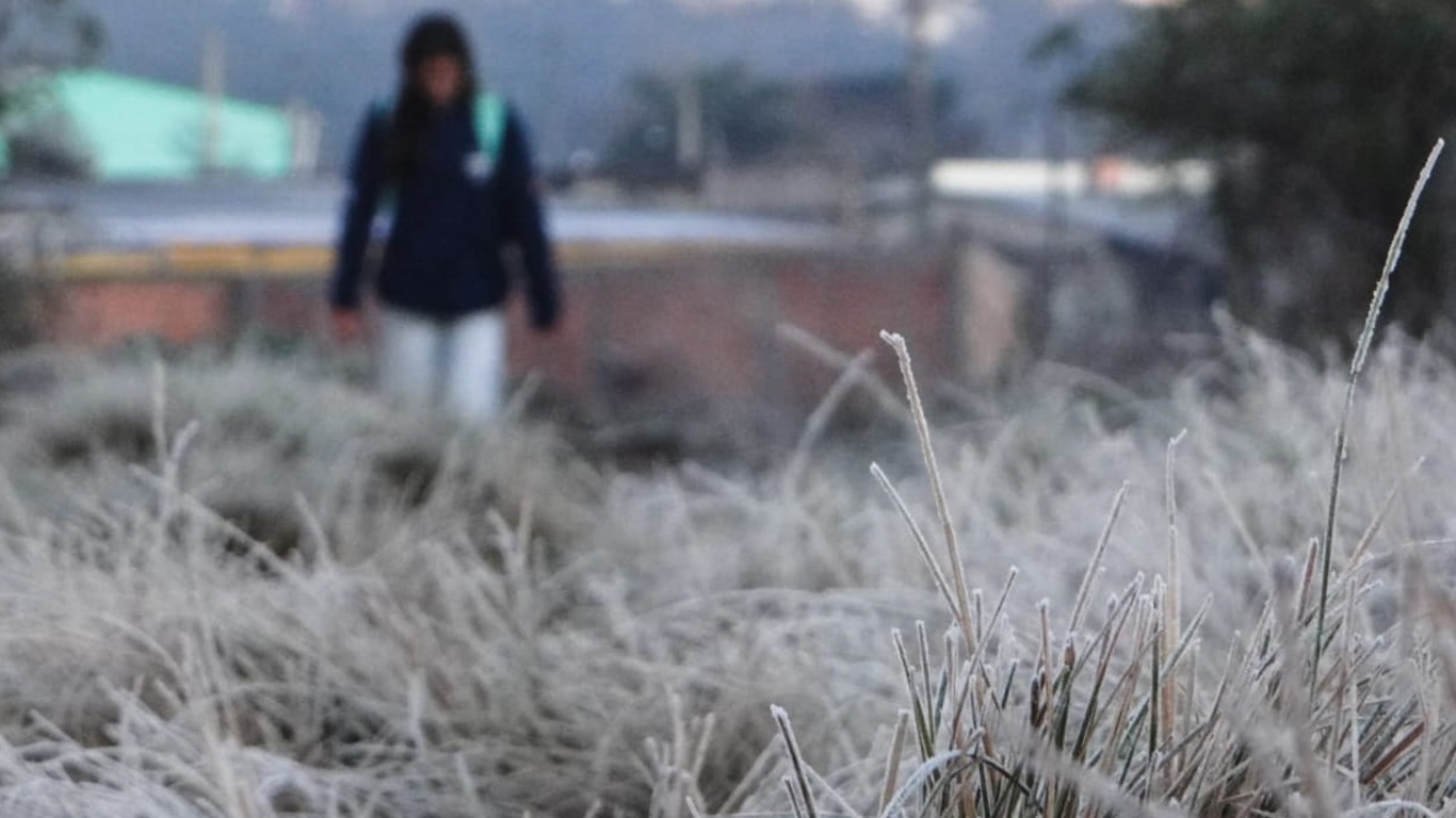 Foto mostra o frio com geada hoje na fronteira gaúcha