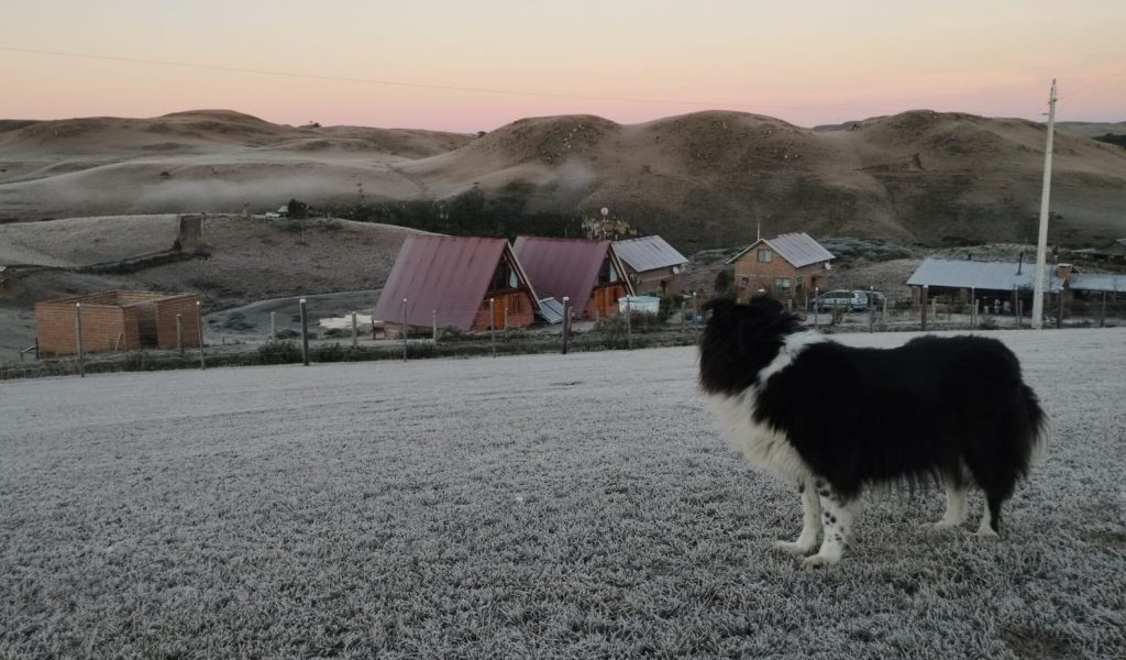 Rio Grande do Sul completa 20 dias de frio abaixo de zero no ano