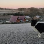 Rio Grande do Sul completa 20 dias de frio abaixo de zero no ano