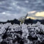 Junho termina com frio abaixo de zero no Rio Grande do Sul