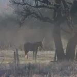 Frio congelante e geada no começo da terça-feira