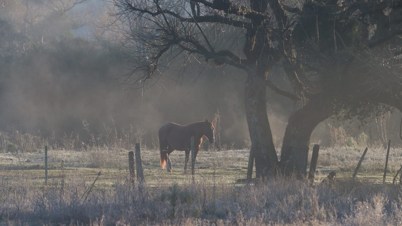 Foto mostra o frio em Livramento