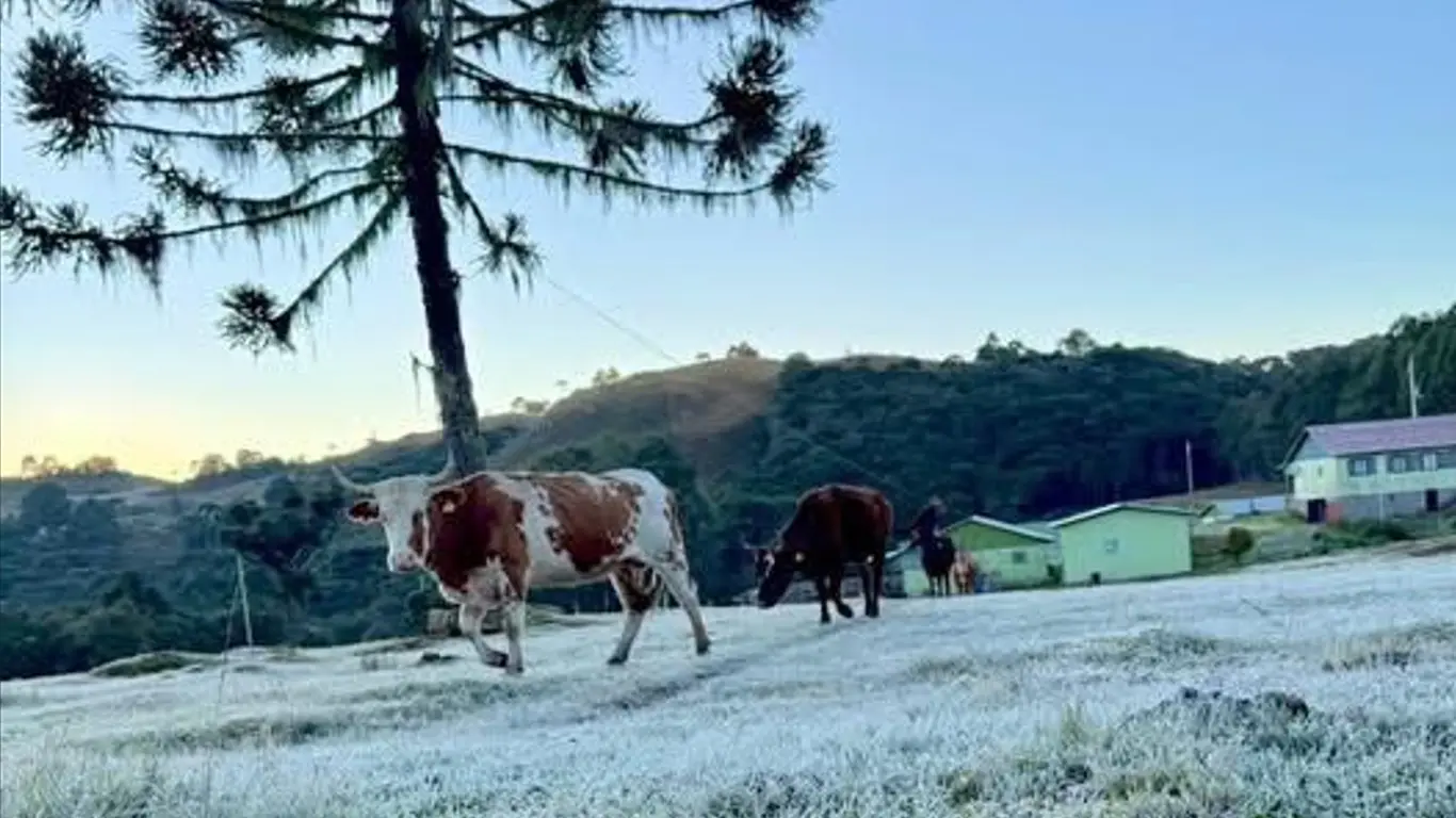 Foto mostra o frio em São José dos Ausentes