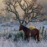 Primeiro amanhecer do inverno registra frio de 4ºC abaixo de zero